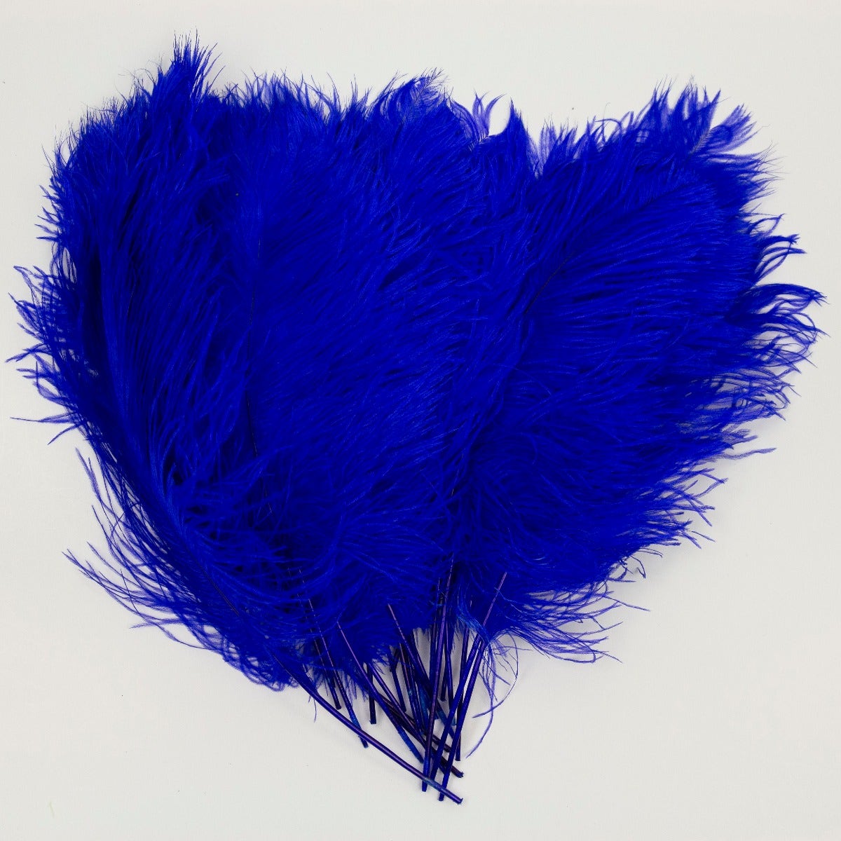 Ostrich Tails 16-18 inch - 30 PC - Royal - Feathers