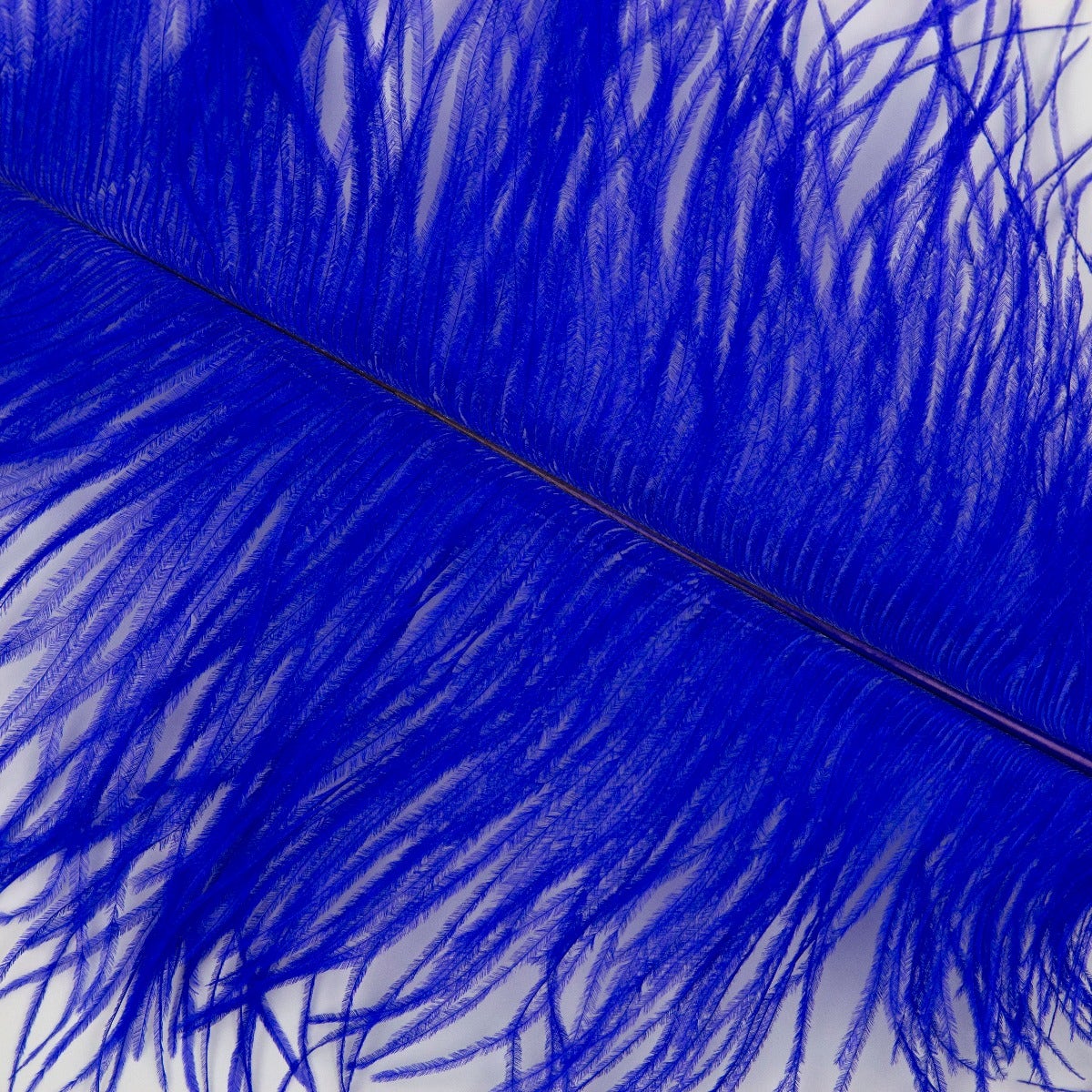 Ostrich Tails 16-18 inch - 30 PC - Royal - Feathers