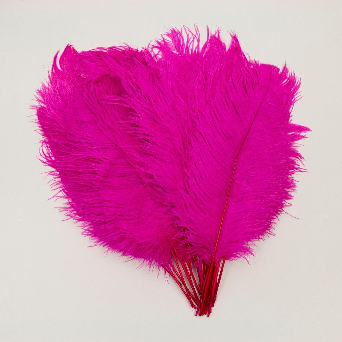 Ostrich Tails 16-18 inch - 30 PC - Shocking Pink - Feathers