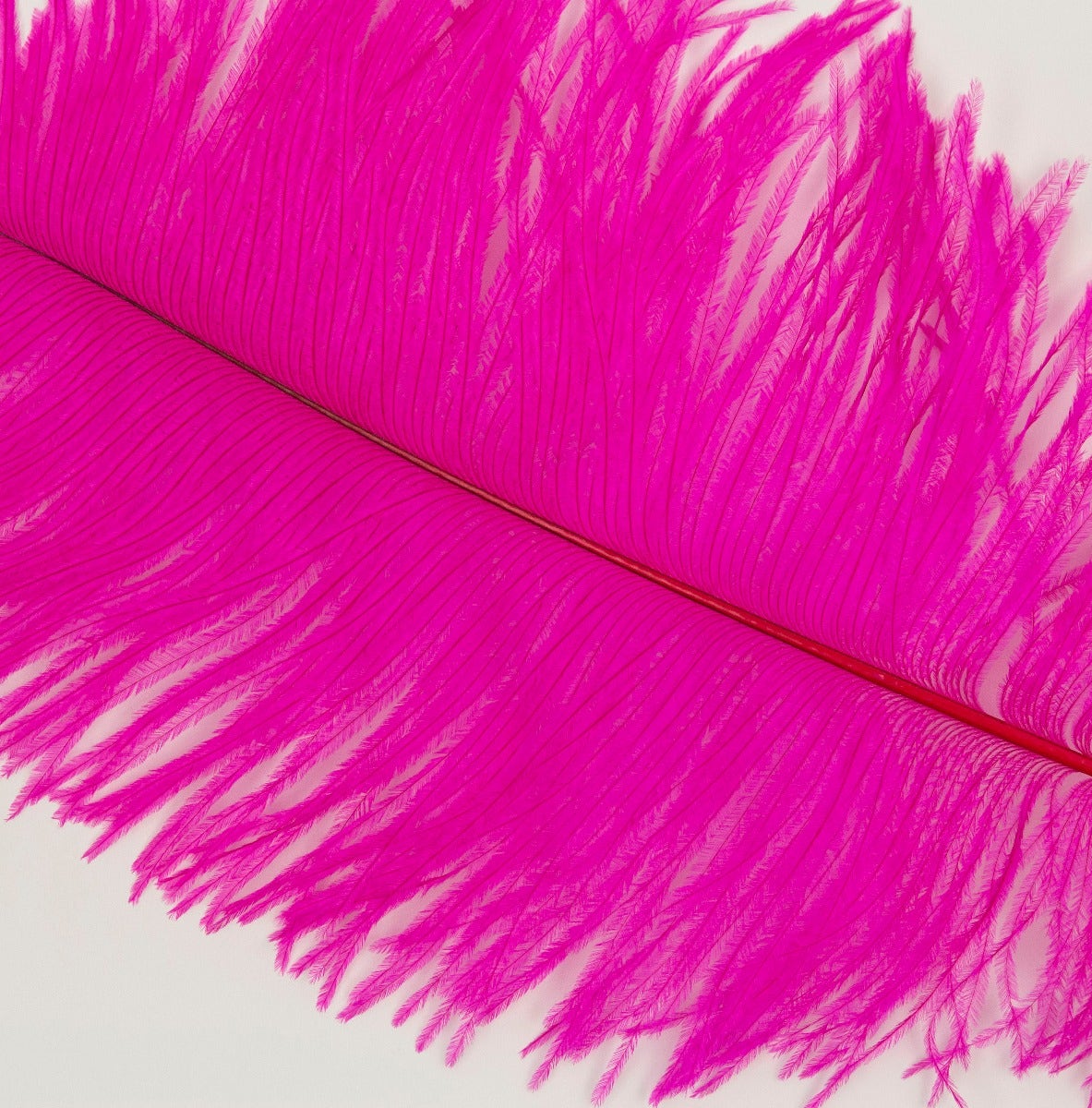 Ostrich Tails 16-18 inch - 30 PC - Shocking Pink - Feathers