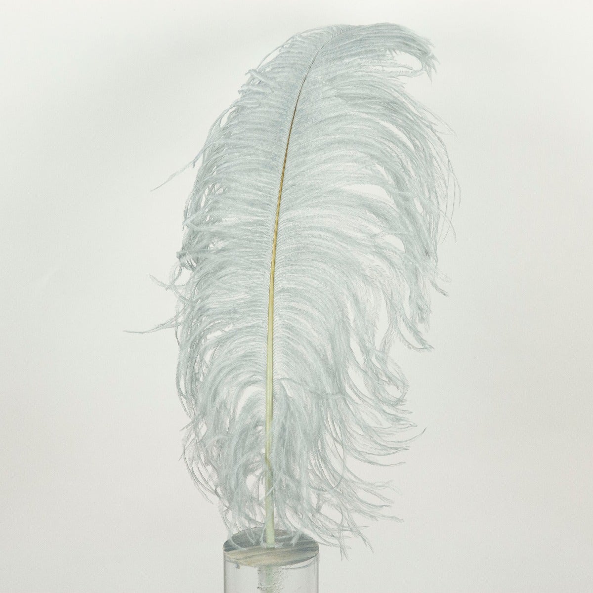 Ostrich Tails 16-18 inch - 30 PC - Silver - Feathers