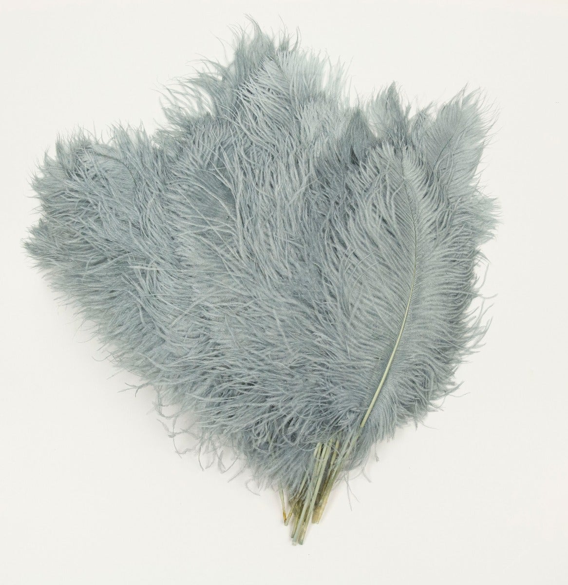 Navy Ostrich Feather Tips, 16-18