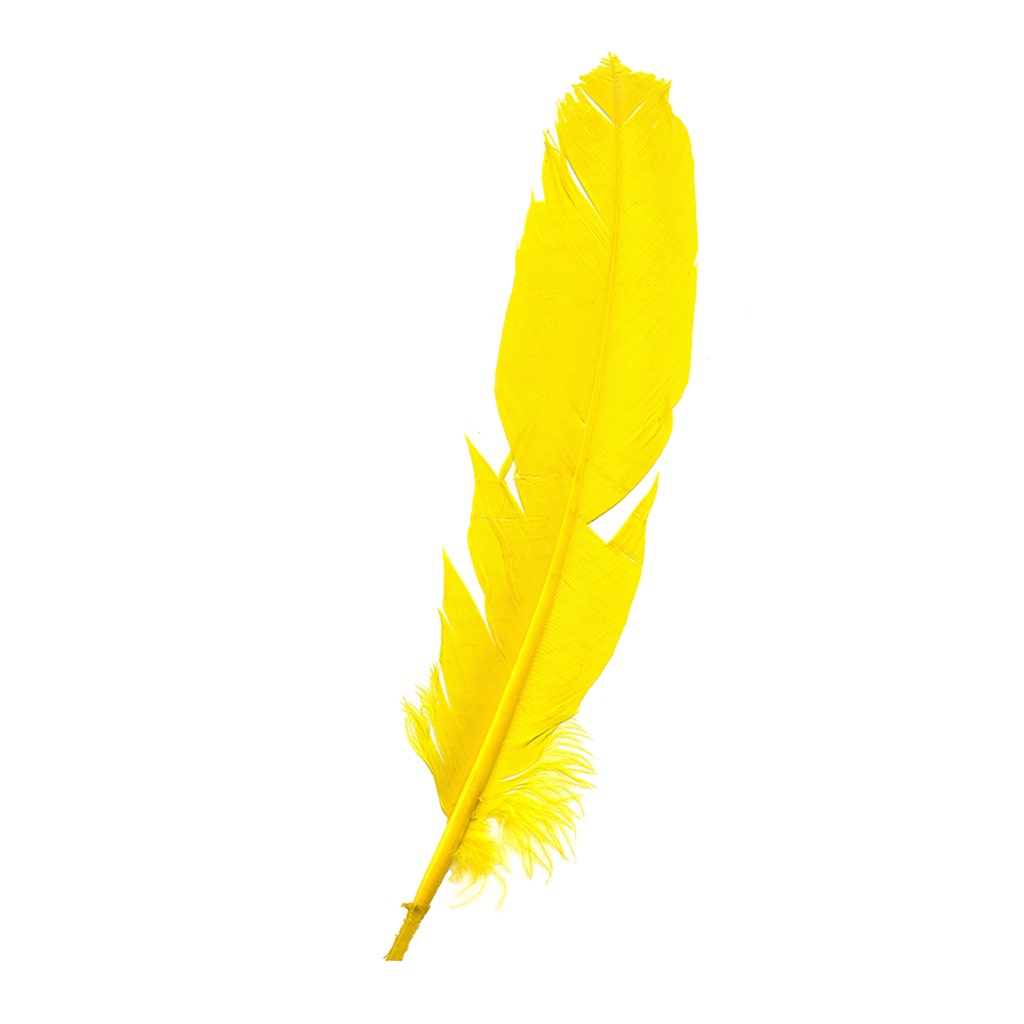 Parried Turkey Quills Damaged - Assorted Mix - Feathers