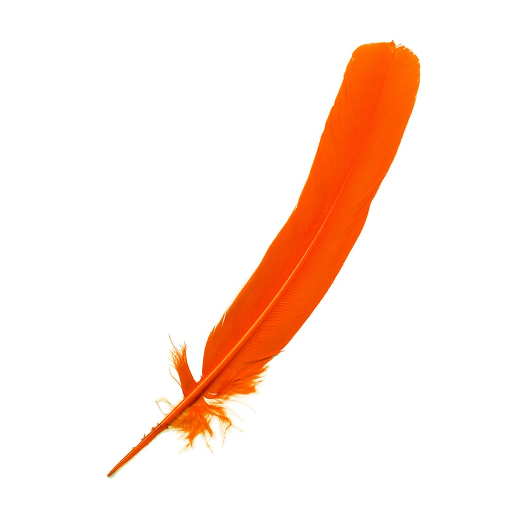 Parried Turkey Quills Selected - Orange - Feathers