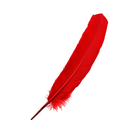 Parried Turkey Quills Selected - Red - Feathers