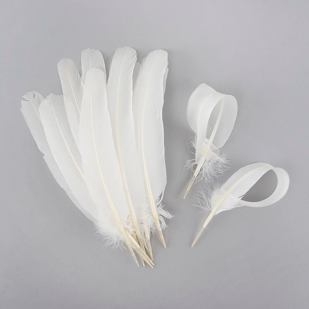 Parried Turkey Quills Selected - White - Feathers