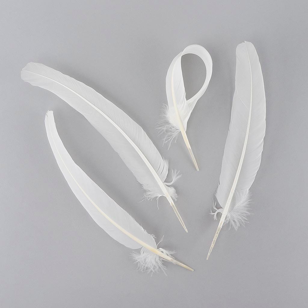 Parried Turkey Quills Selected - White - Feathers