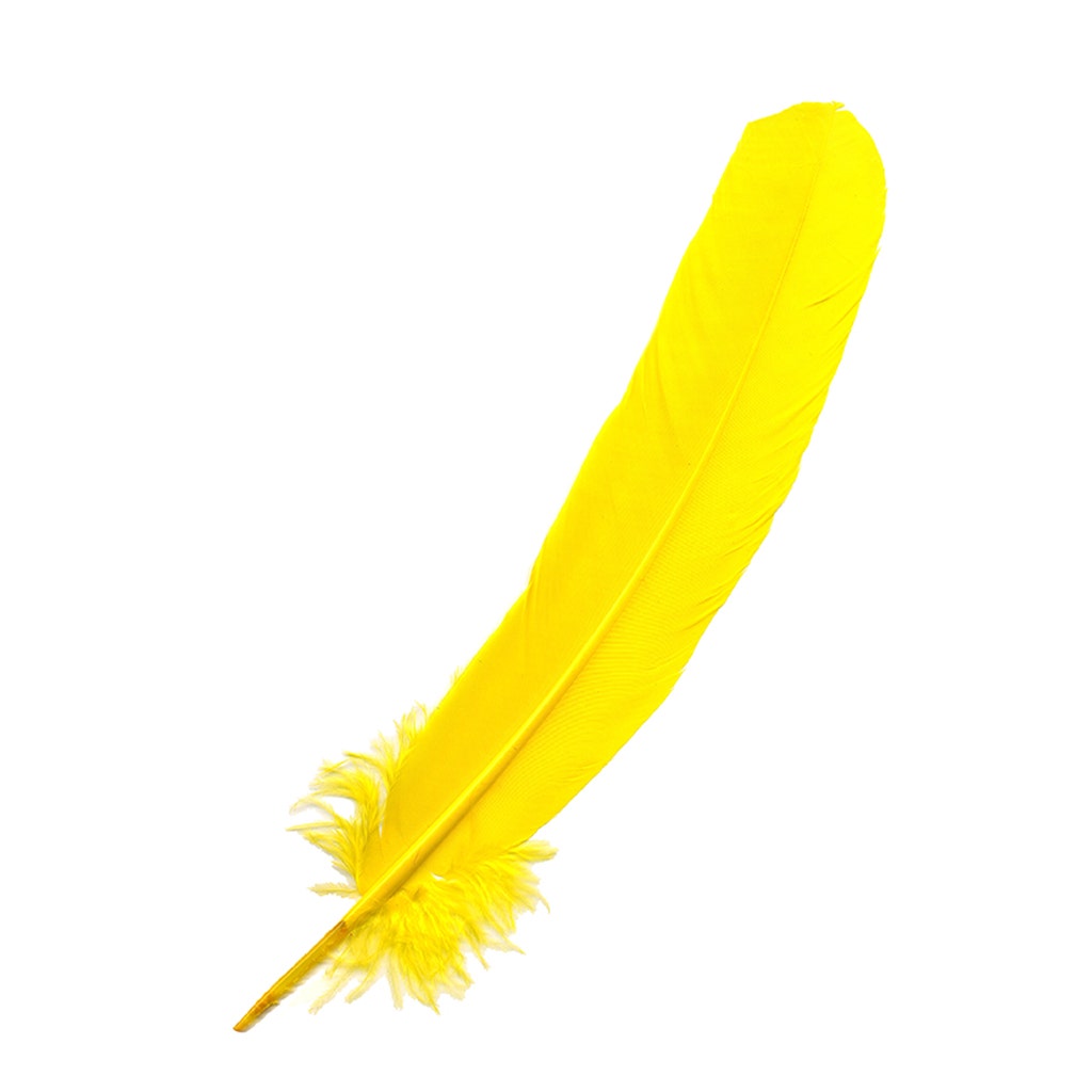 Parried Turkey Quills Selected - Yellow - Feathers