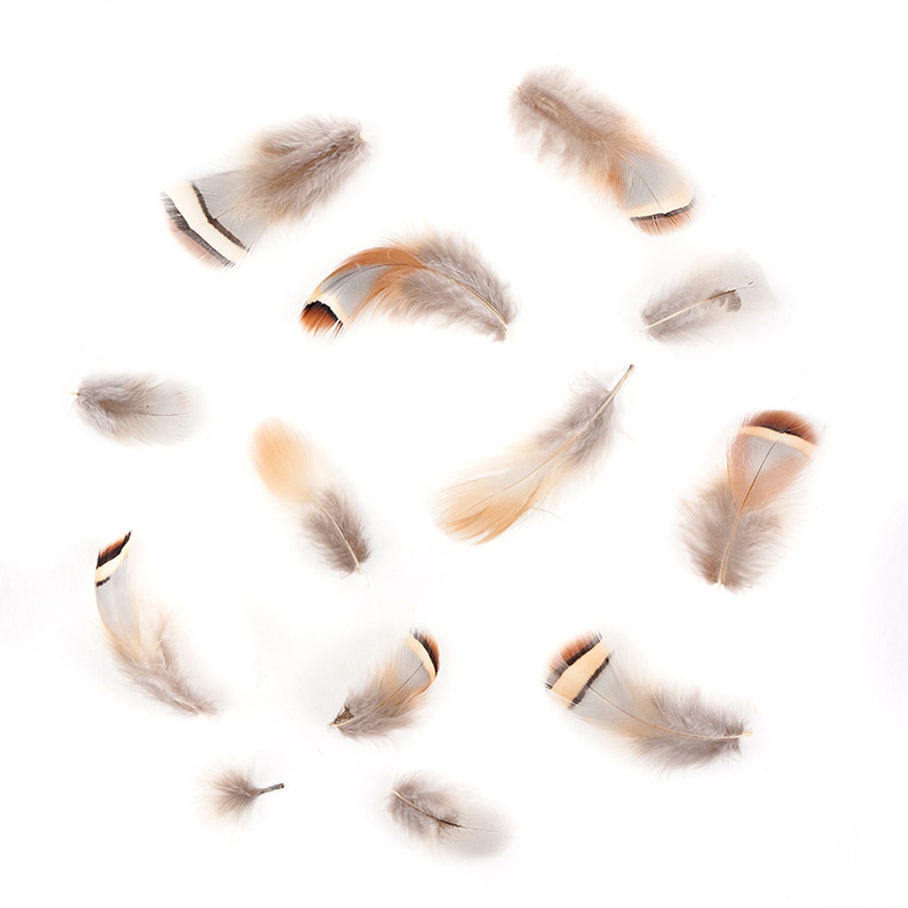 Partridge Plumage Feathers - Natural - Feathers