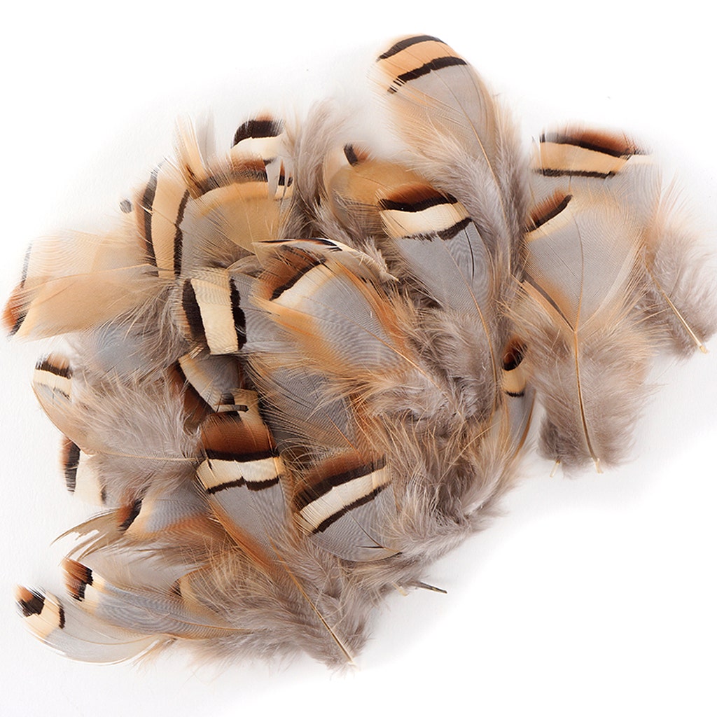 Partridge Plumage Feathers - Natural - Feathers