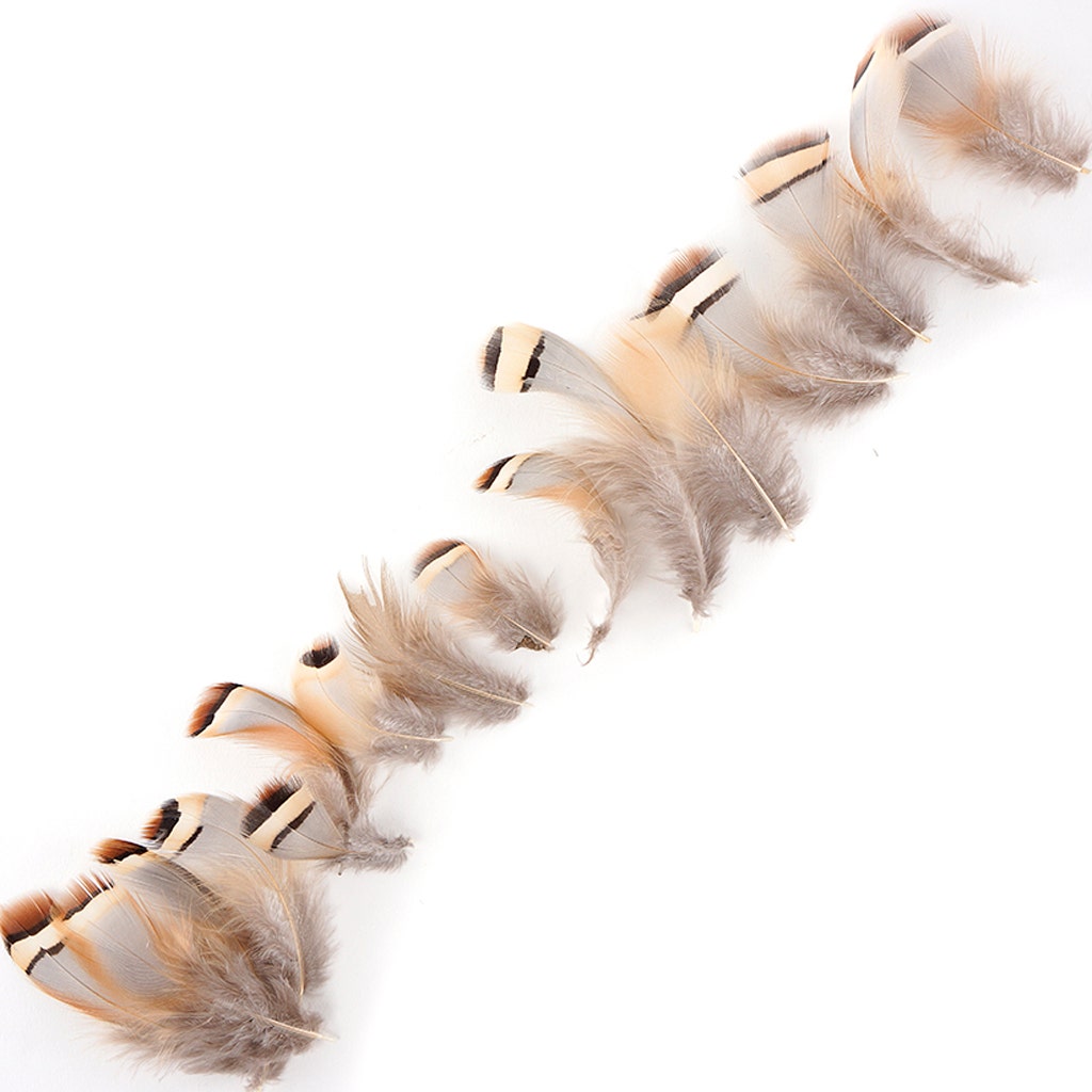 Partridge Plumage Feathers - Natural - Feathers