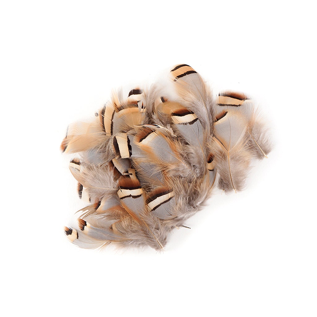 Partridge Plumage Feathers - Natural - Feathers