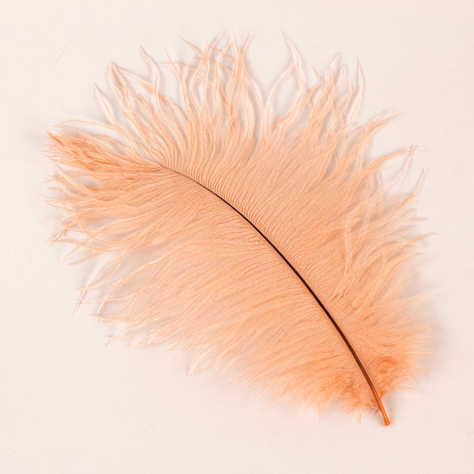 Ostrich Feathers 9-12" Drabs - Apricot Blush