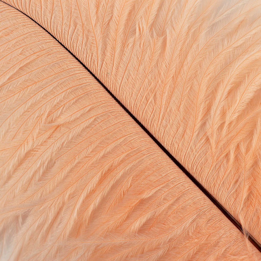 Ostrich Feathers 9-12" Drabs - Apricot Blush