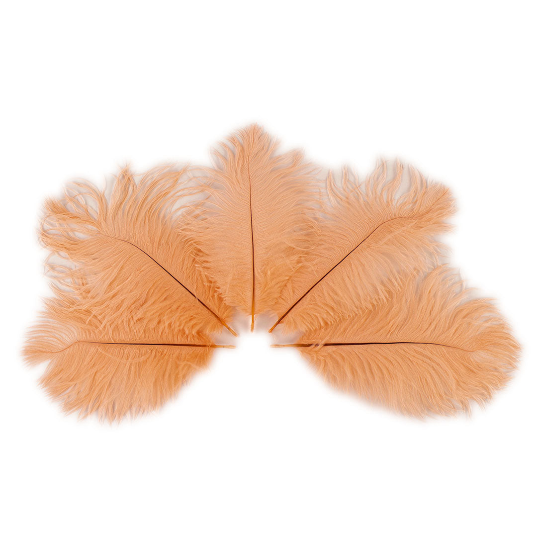 Ostrich Feathers 9-12" Drabs - Apricot Blush