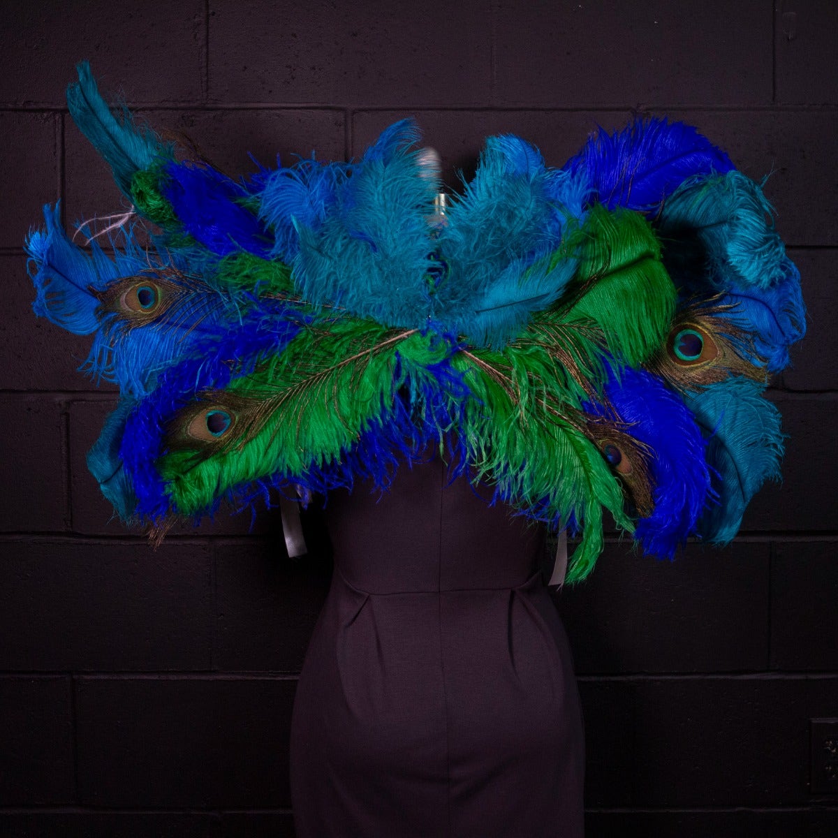 Peacock 3 in 1 Upcycled Feather Costume Wings - Feathers