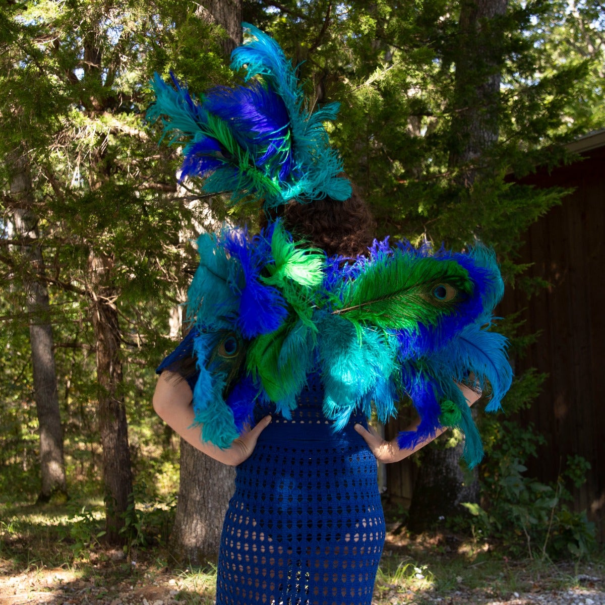 Peacock 3 in 1 Upcycled Feather Costume Wings - Feathers