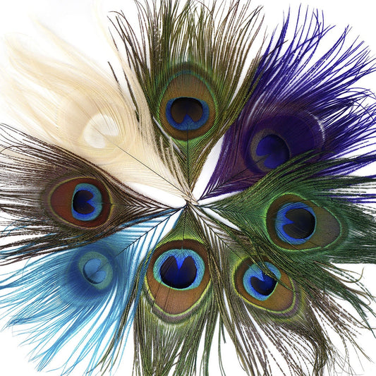 Peacock Assorted Feather Eyes - Assorted Mix - Feathers