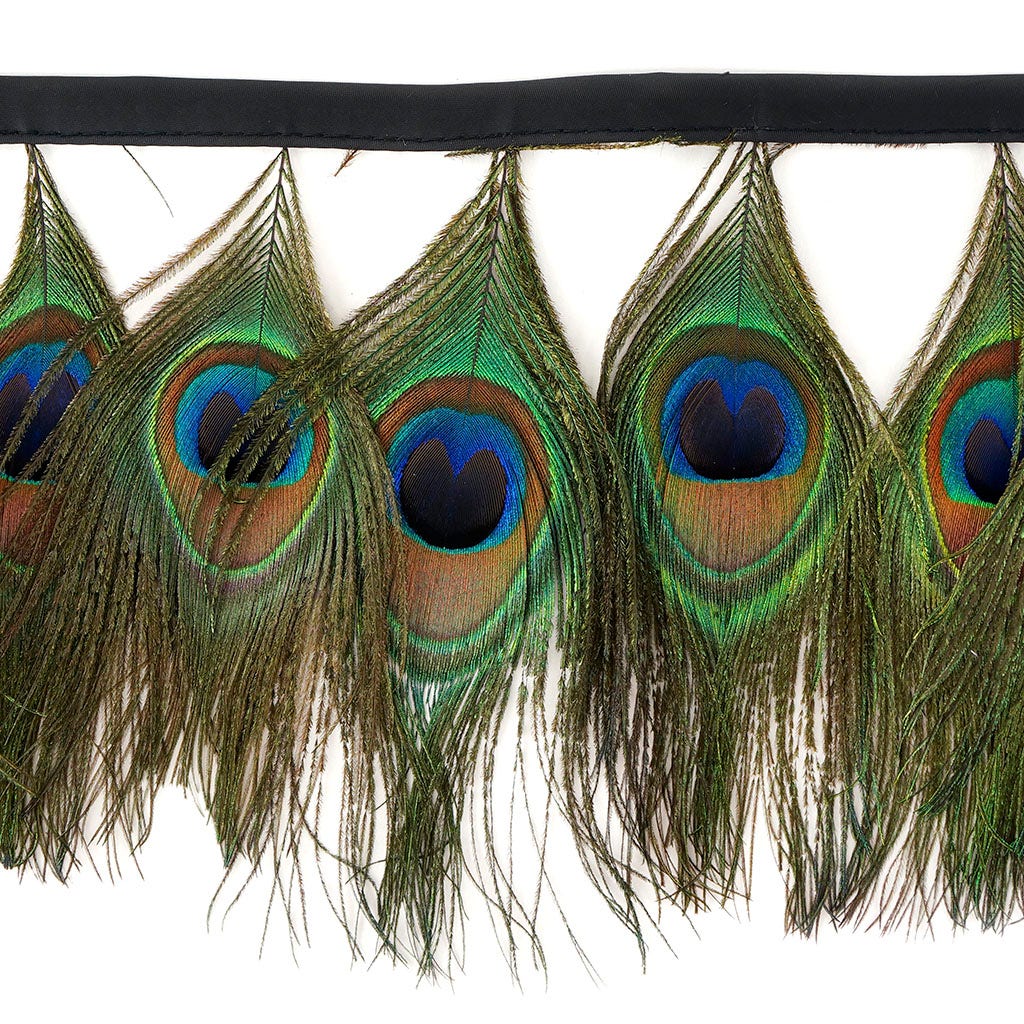 Peacock Eye Feather Fringe - 5YD - Natural - Feathers