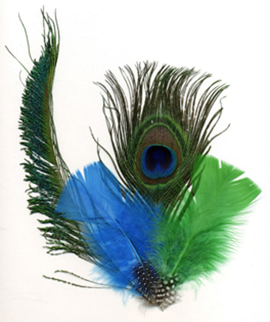 Peacock Eye-Sword-Guinea-Hackle - DKT/K/N - Feathers