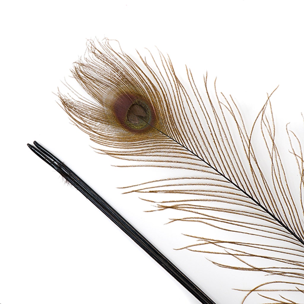 Peacock Eyes Bleached/Dyed - Brown - 30-40’’ - 10 PC - Feathers