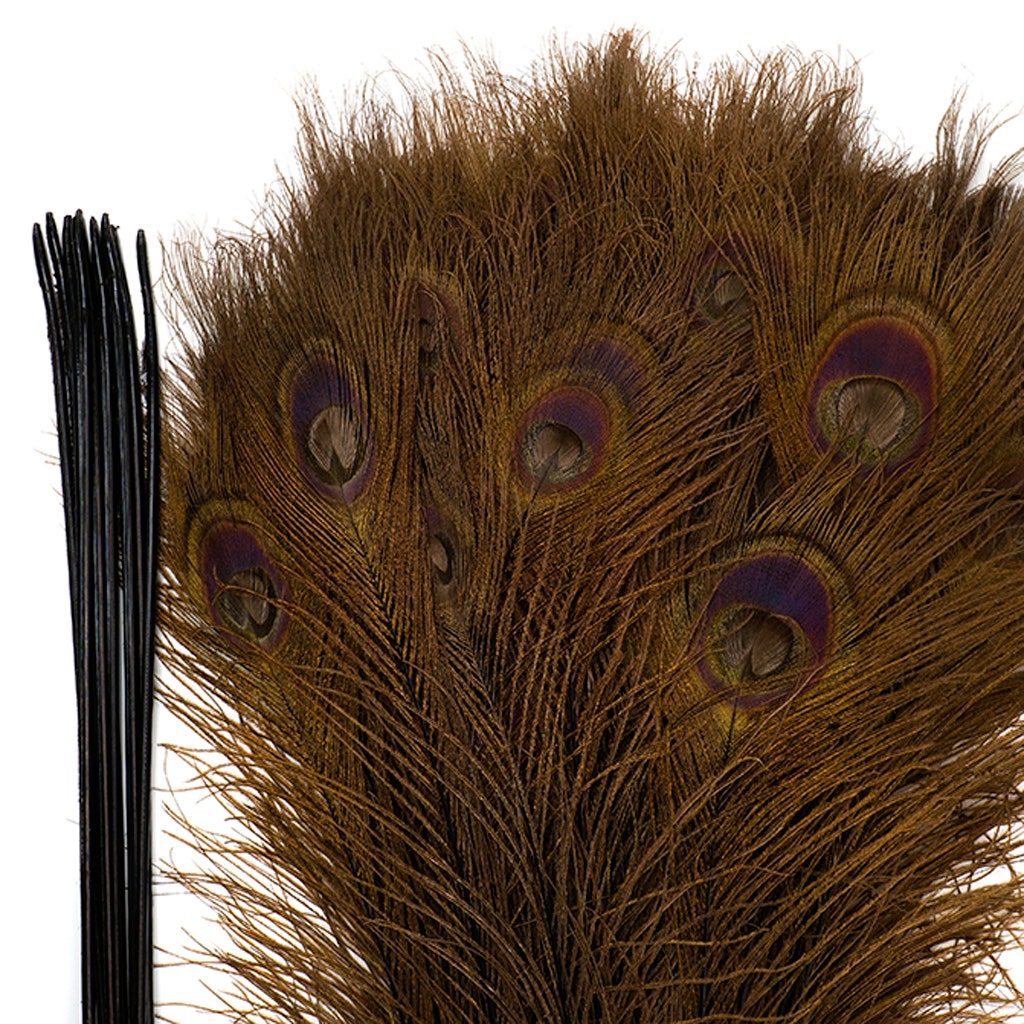 Peacock Eyes Bleached/Dyed - Brown - 30-40’’ - 10 PC - Feathers