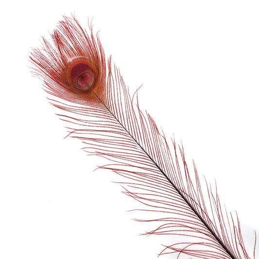 Peacock Eyes Bleached/Dyed - Burgundy - 30-40’’ - 10 pc - Feathers