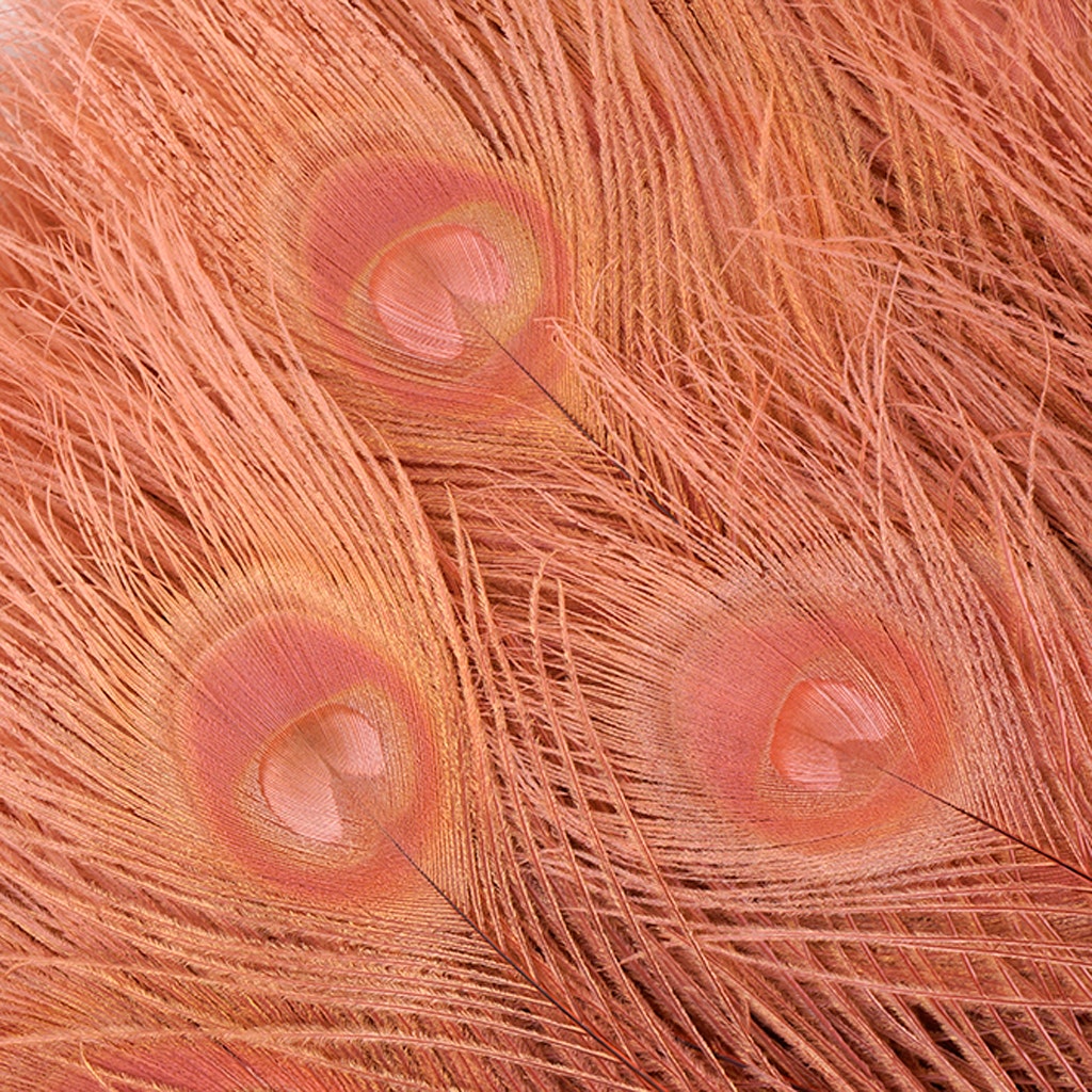 Peacock Eyes Bleached/Dyed - Dusty Rose 30-40’’ - 10 PC - Feathers