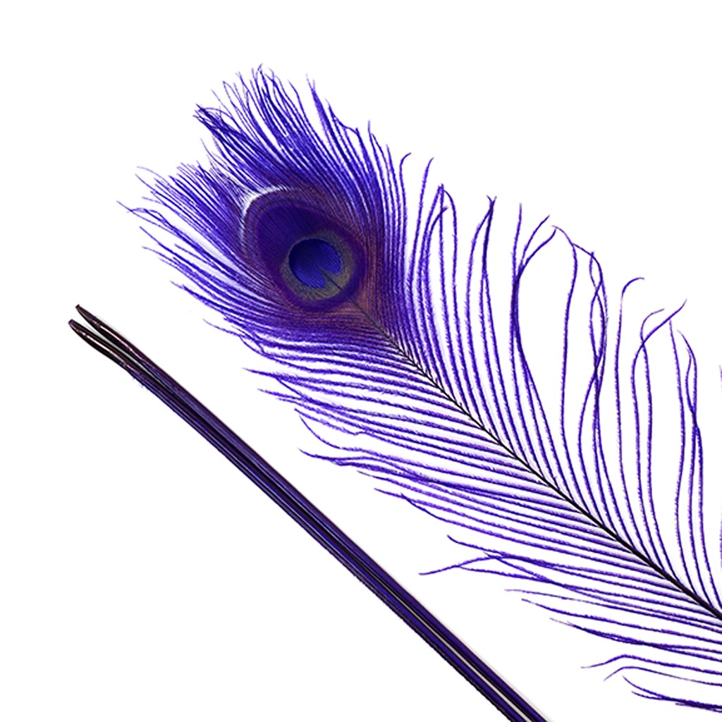 Peacock Eyes Bleached/Dyed Feathers - 25-40 Inch - 10 PCS - Regal - Feathers