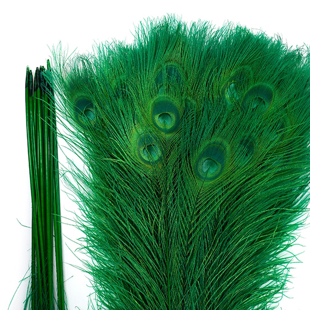 Peacock Eyes Bleached/Dyed - Kelly 30-40’’ - 10 PC - Feathers