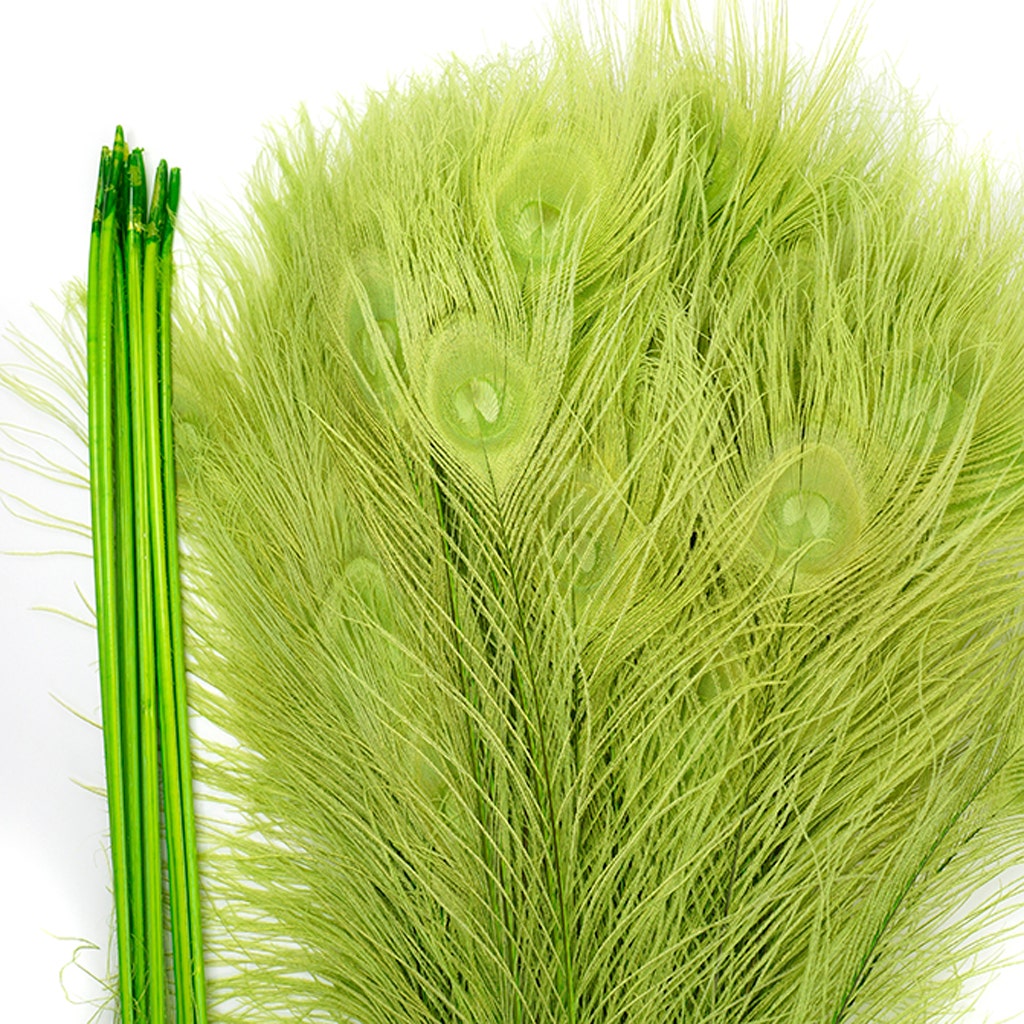 Peacock Eyes Bleached/Dyed - Lime 30-40’’ - 10 PC - Feathers