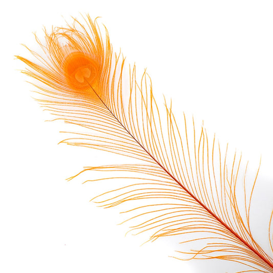 Peacock Eyes Bleached/Dyed - Orange 30-40’’ - 10 PC - Feathers