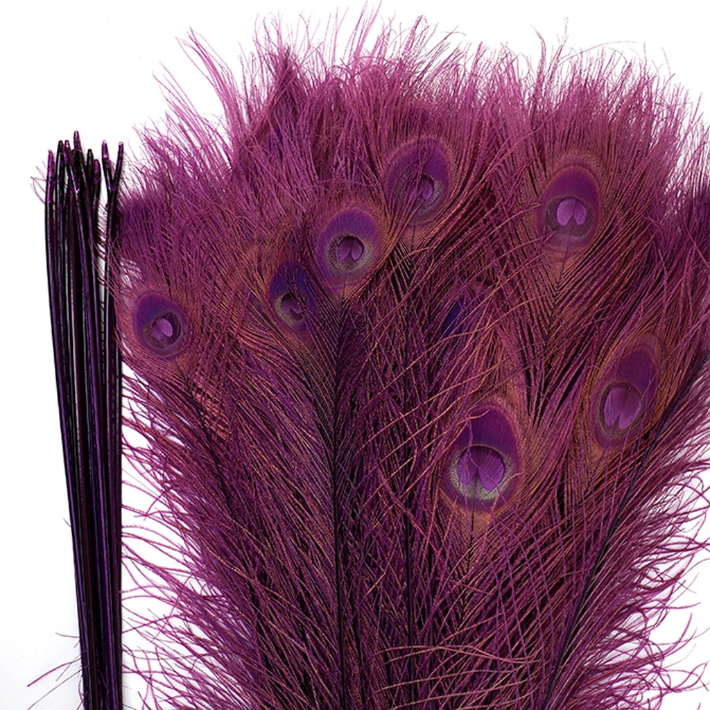 Peacock Eyes Bleached/Dyed - Purple 30-40’’ - 10 PC - Feathers