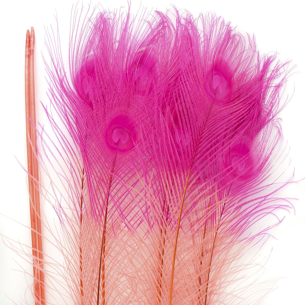 Peacock Eyes Bleached/Dyed & Tipped Feathers - 25-40 Inch - 10 PCS - Coral - Shocking Pink - Feathers