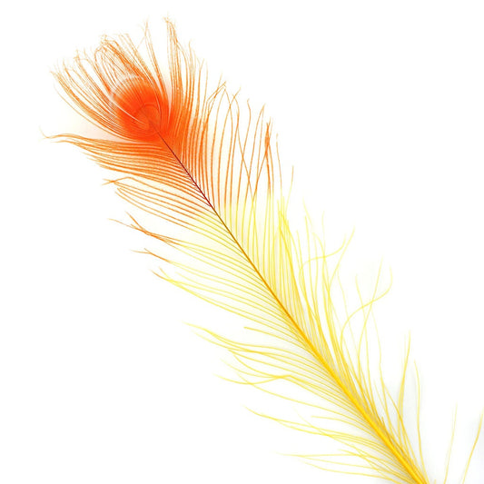 Peacock Eyes Bleached/Dyed & Tipped Feathers - 25-40 Inch - 10 PCS - Gold - Orange - Feathers