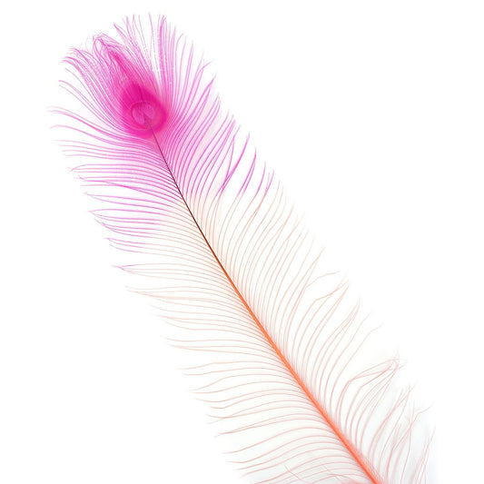 Peacock Eyes Bleached/Dyed & Tipped Feathers - 25-40 Inch - 10 PCS - Coral - Shocking Pink - Feathers