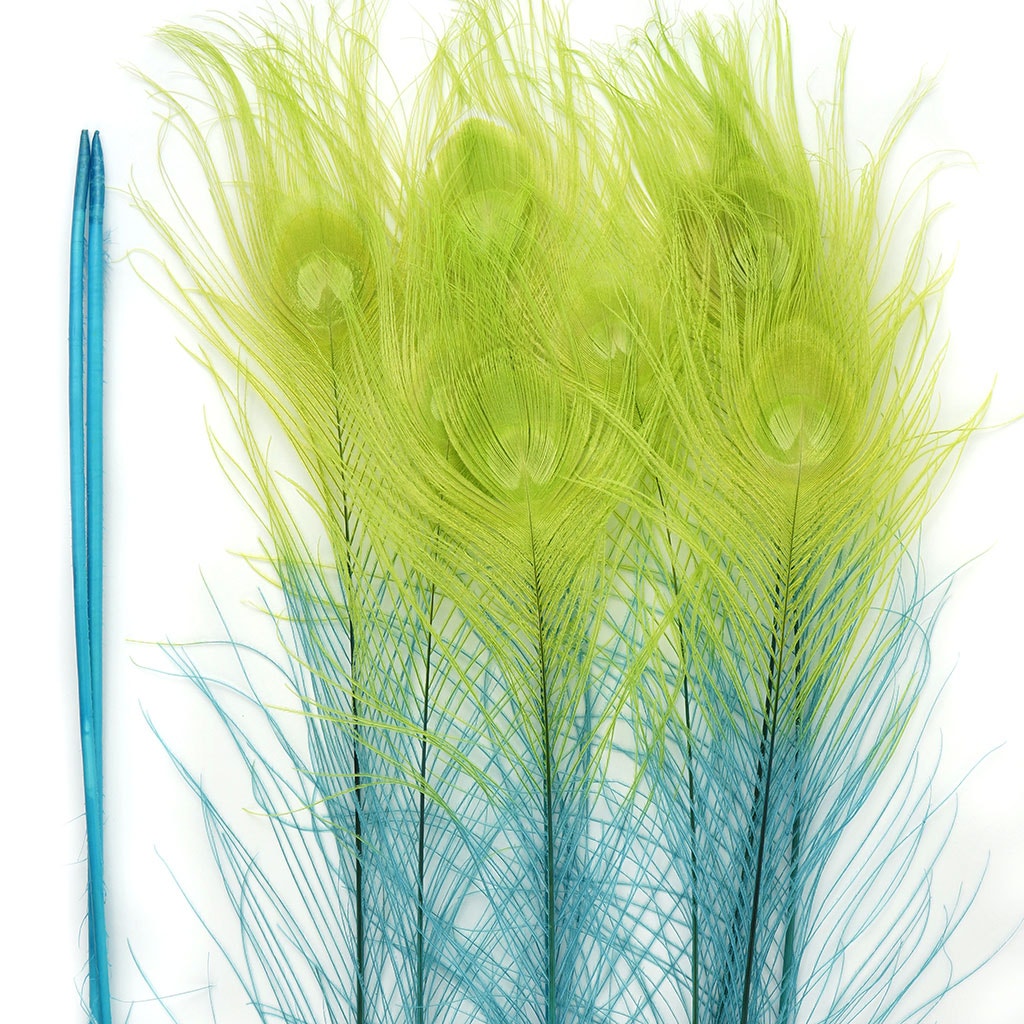 Peacock Eyes Bleached/Dyed & Tipped Feathers - 25-40 Inch - 10 PCS - Fl Blue - Lime - Feathers