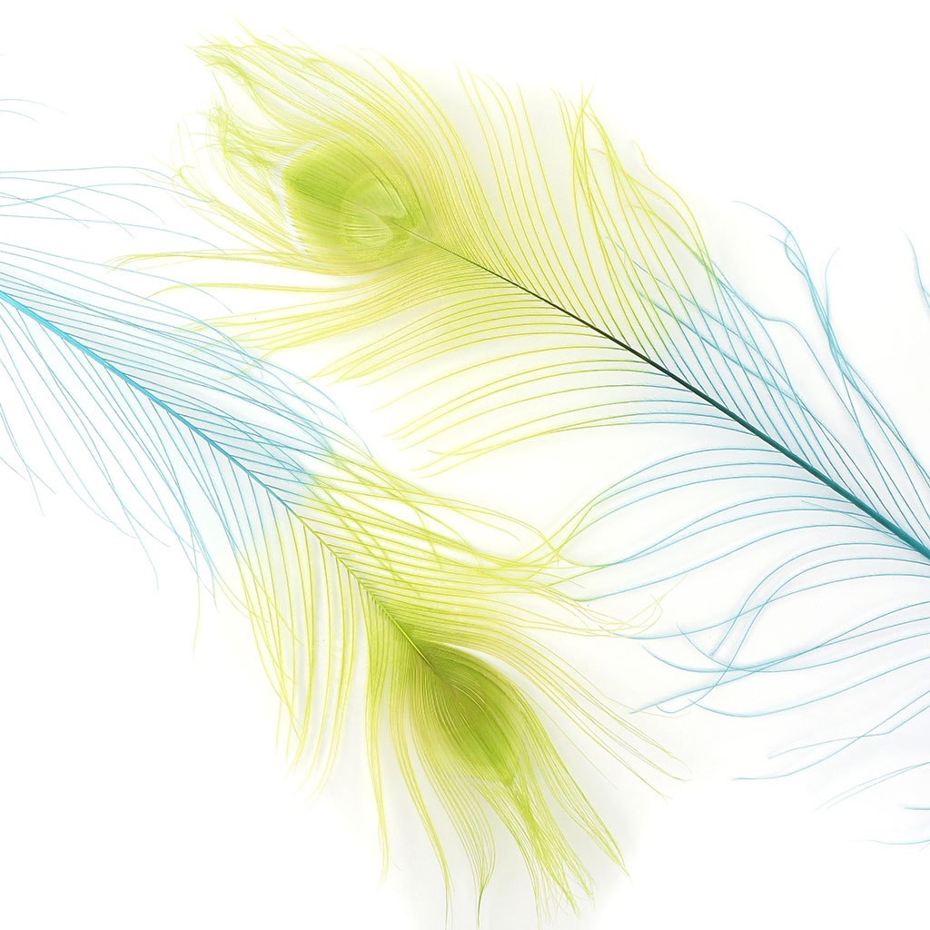 Peacock Eyes Bleached/Dyed & Tipped Feathers - 25-40 Inch - 10 PCS - Fl Blue - Lime - Feathers