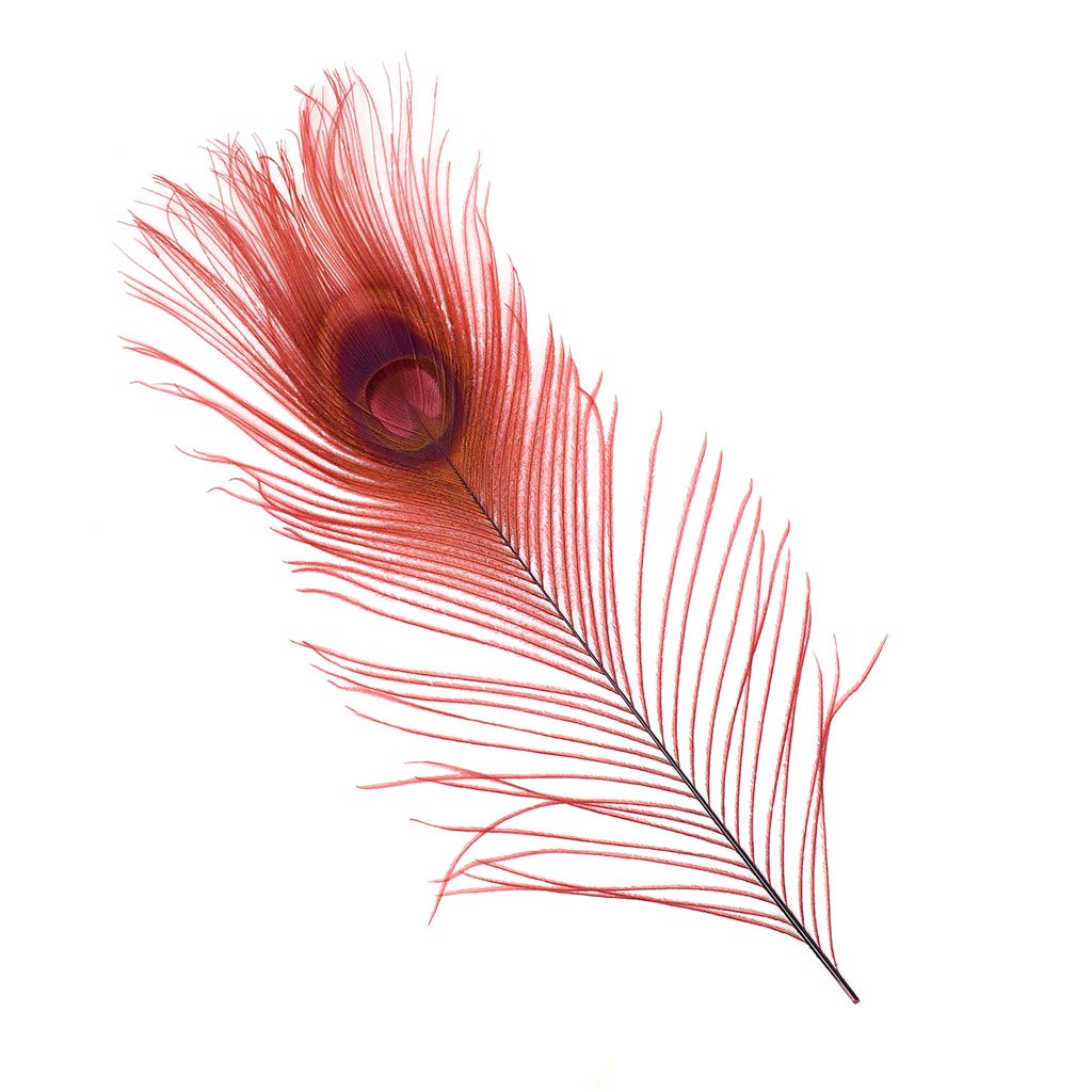 Peacock Feather Eyes Bleached & Dyed Burgundy - Feathers