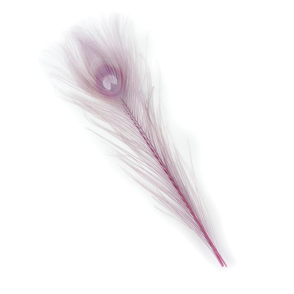 Peacock Feather Eyes Bleached & Dyed Orchid - Feathers