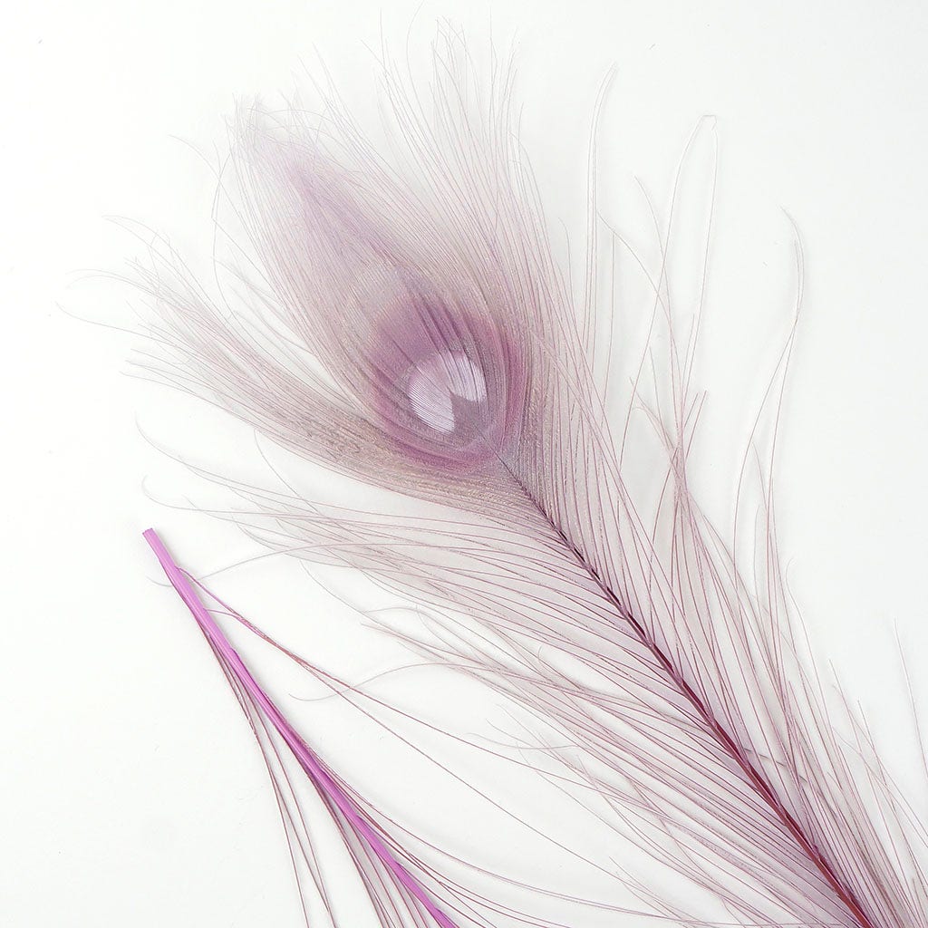 Peacock Feather Eyes Bleached & Dyed Orchid - Feathers