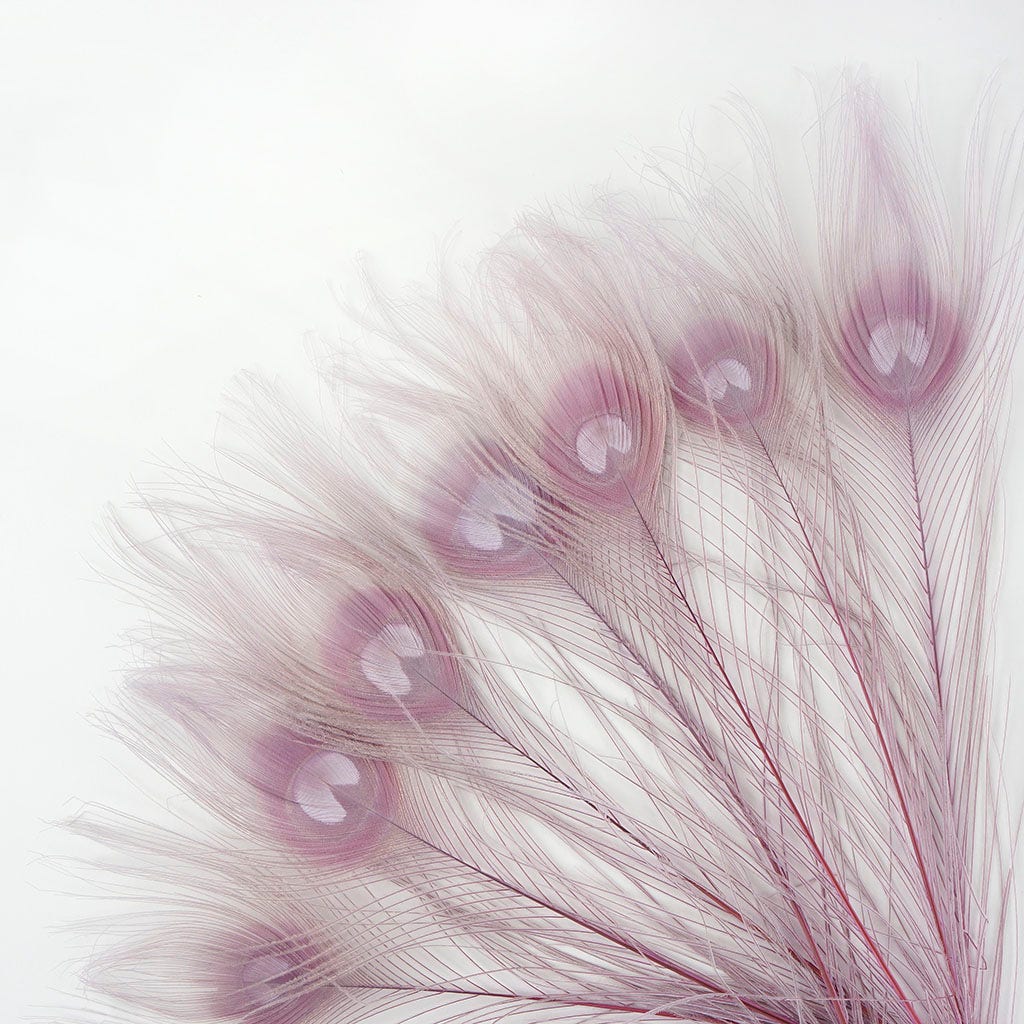 Peacock Feather Eyes Bleached & Dyed Orchid - Feathers