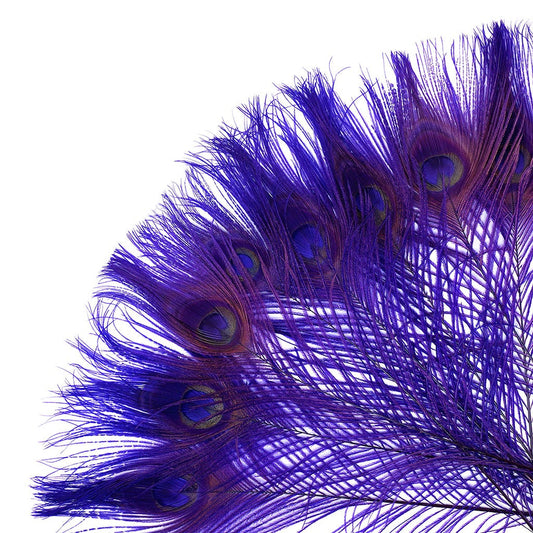 Peacock Feather Eyes Bleached & Dyed Regal - Feathers