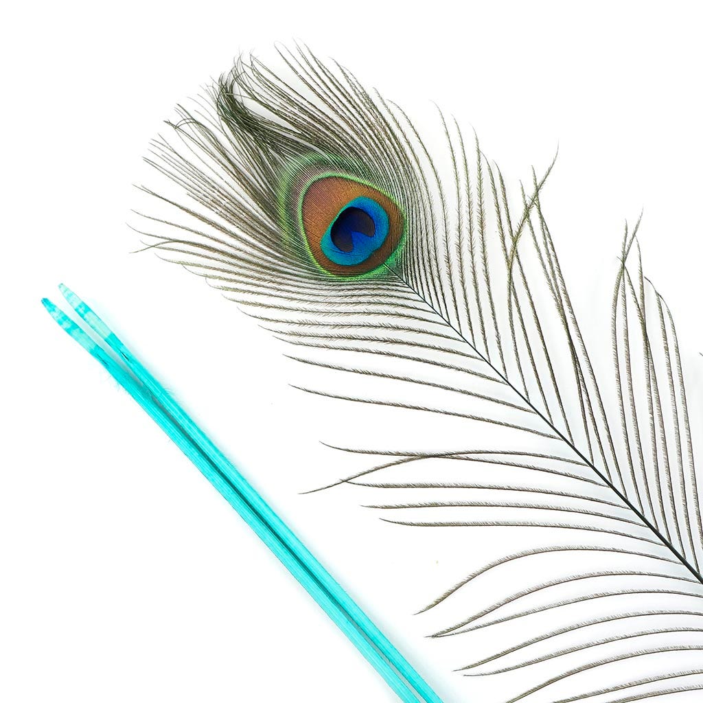 Peacock Feather Eyes Stem Dyed - 25-40 Inch - 10 PCS Light Turquoise - Feathers