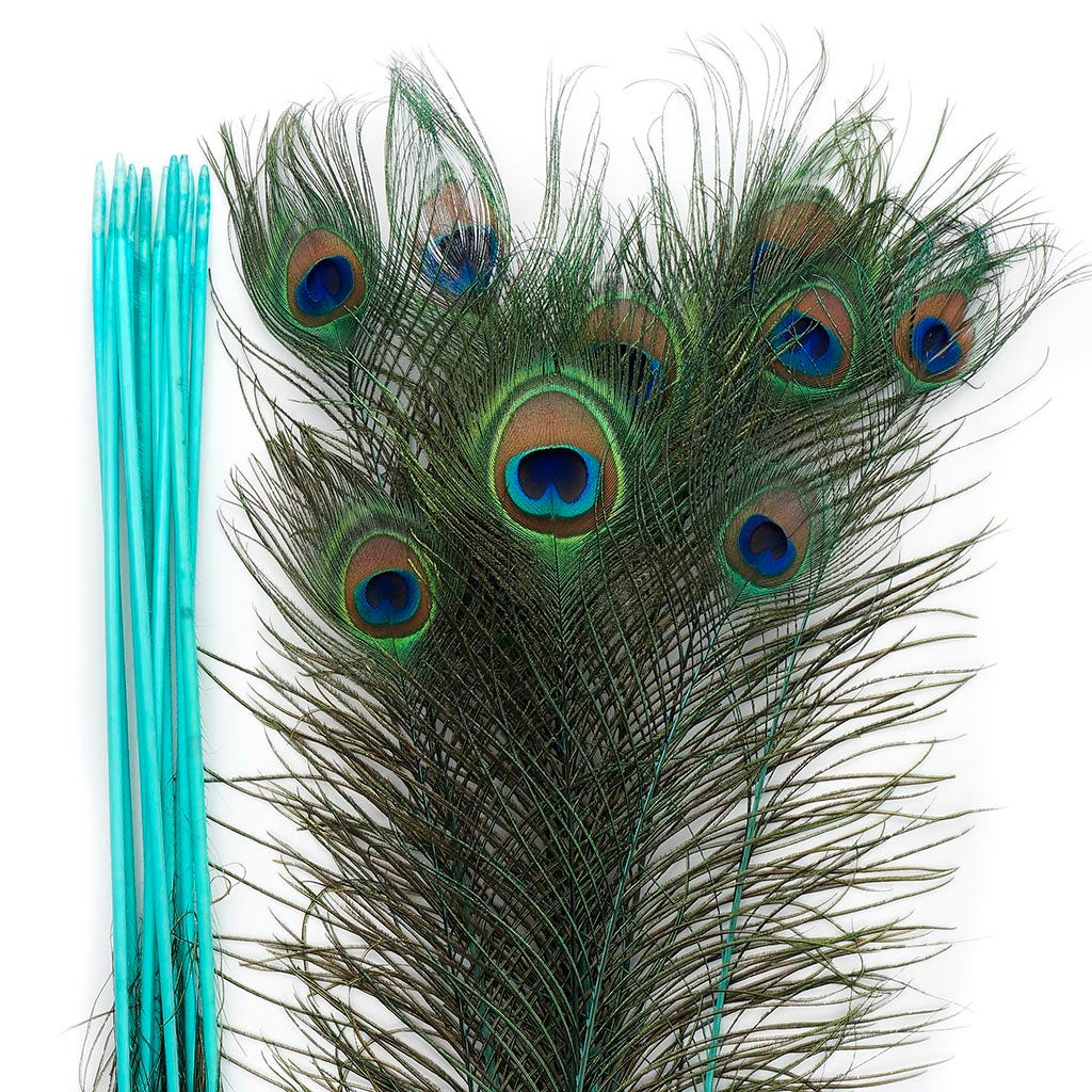 Peacock Feather Eyes Stem Dyed - 25-40 Inch - 10 PCS Light Turquoise - Feathers