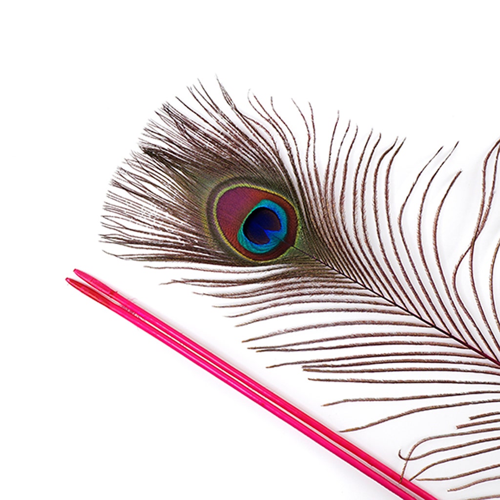 Peacock Feather Eyes Stem Dyed - 25-40 Inch - 10 PCS - Shocking Pink - Feathers