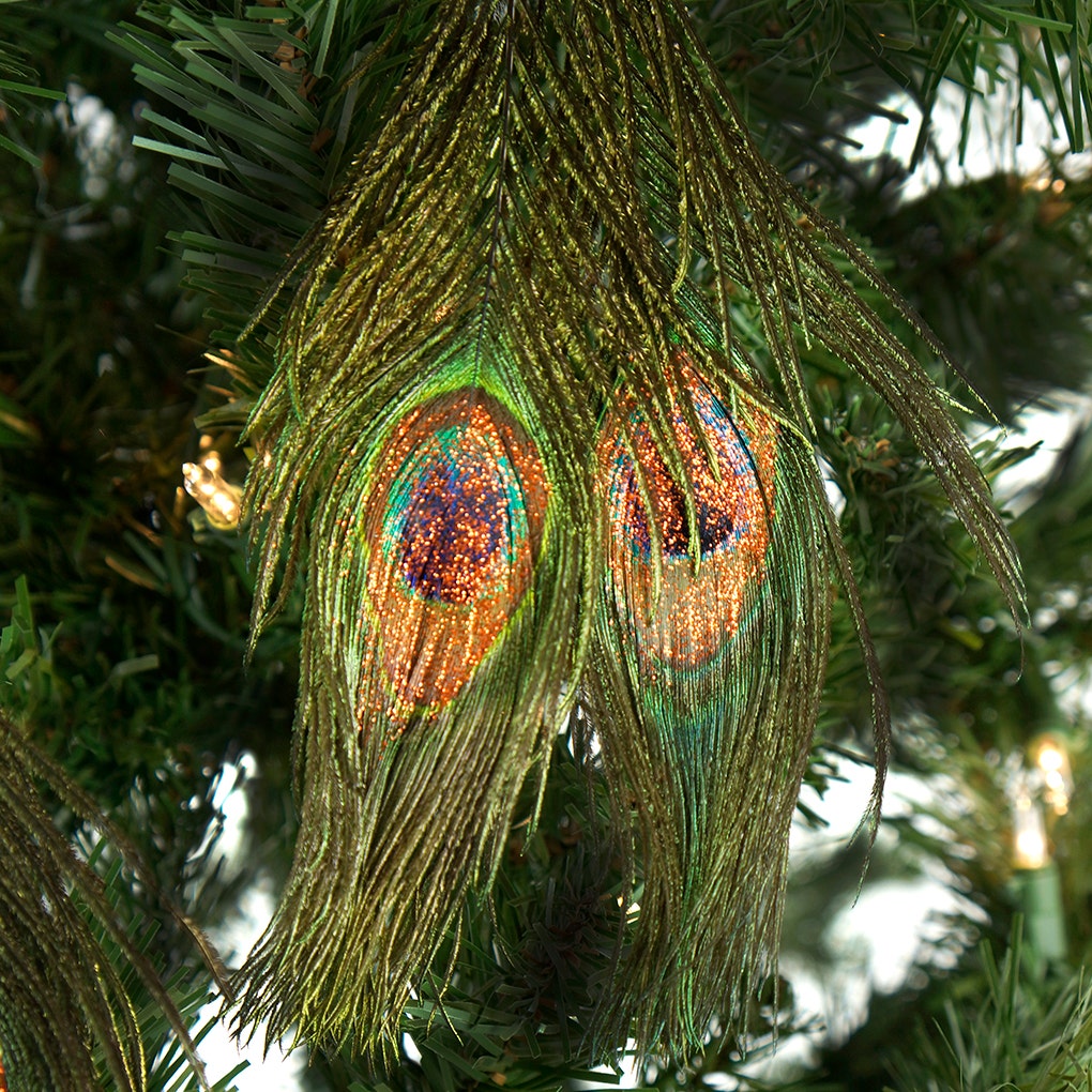 Peacock Feather Ornament - Natural - Copper - Feathers