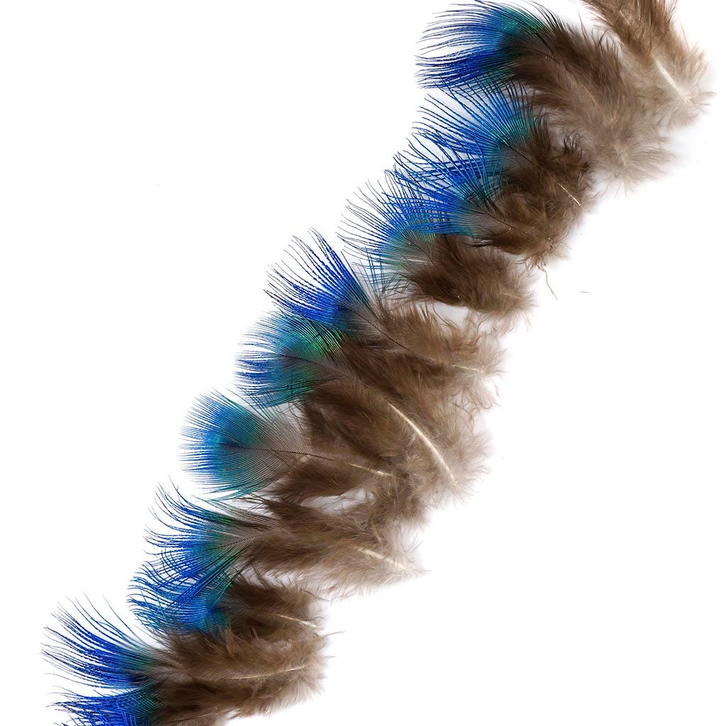 Peacock Feather Plumage-Blue [{WEDDING CENTERPIECES}] - Natural - Feathers