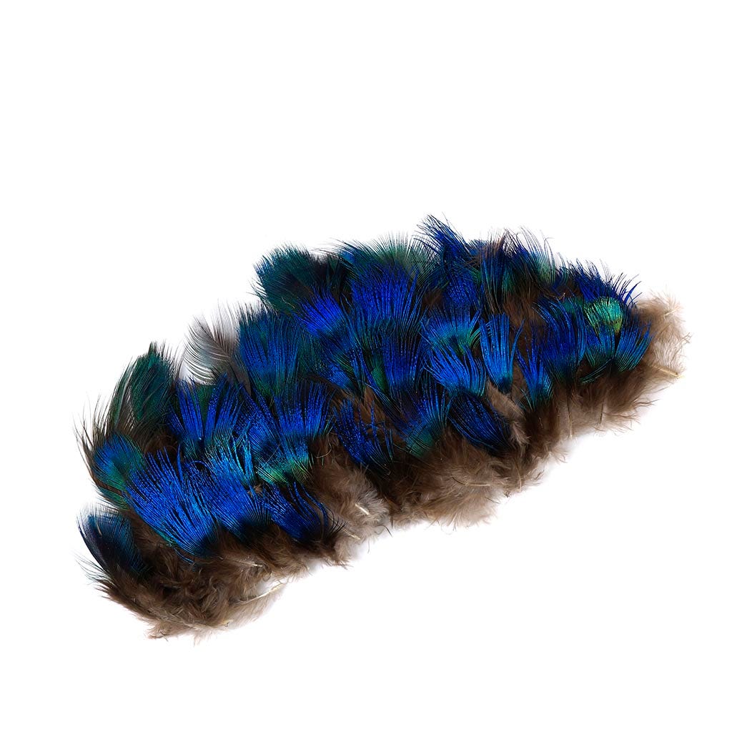 Peacock Feather Plumage-Blue [{WEDDING CENTERPIECES}] - Natural - Feathers