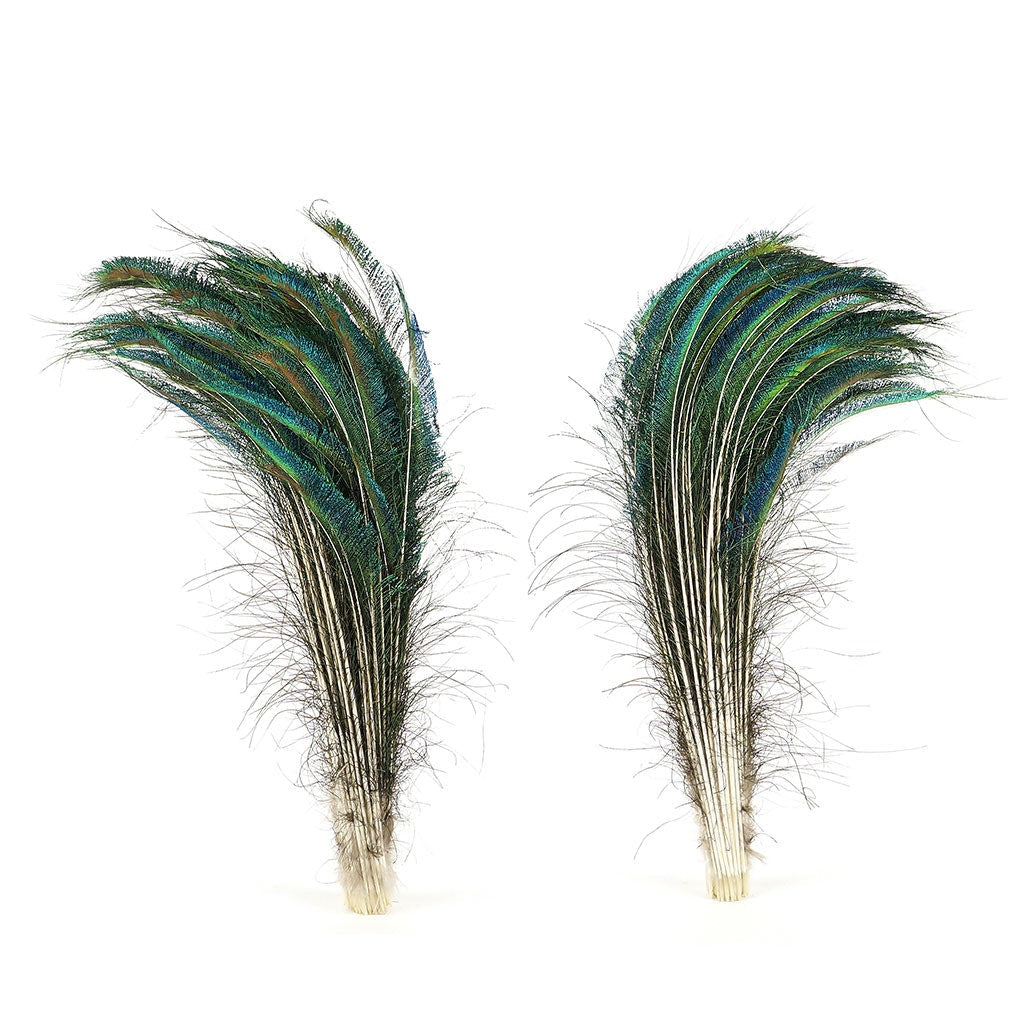 Peacock Feather Swords Natural - 25 -30’’ - 25pcs - Feathers